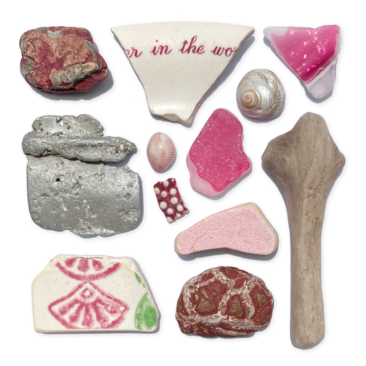 Rare Beachcombing Curiosities - Pink - Framed Beach Art