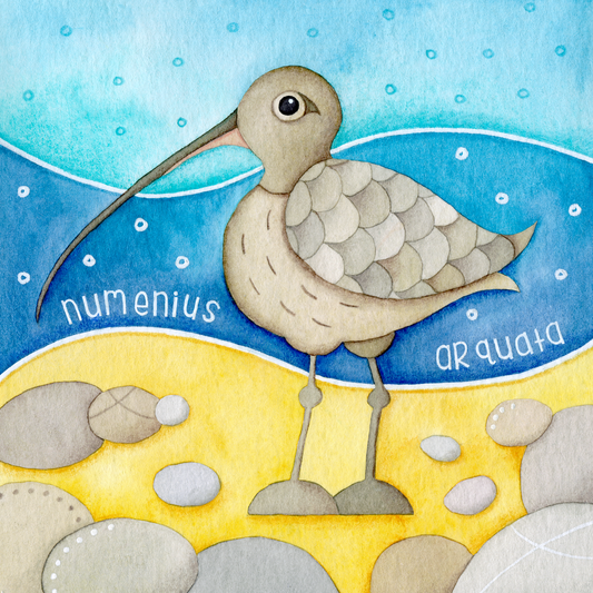 Curlew Greetings Card - Isle of May - Seaside Watercolour