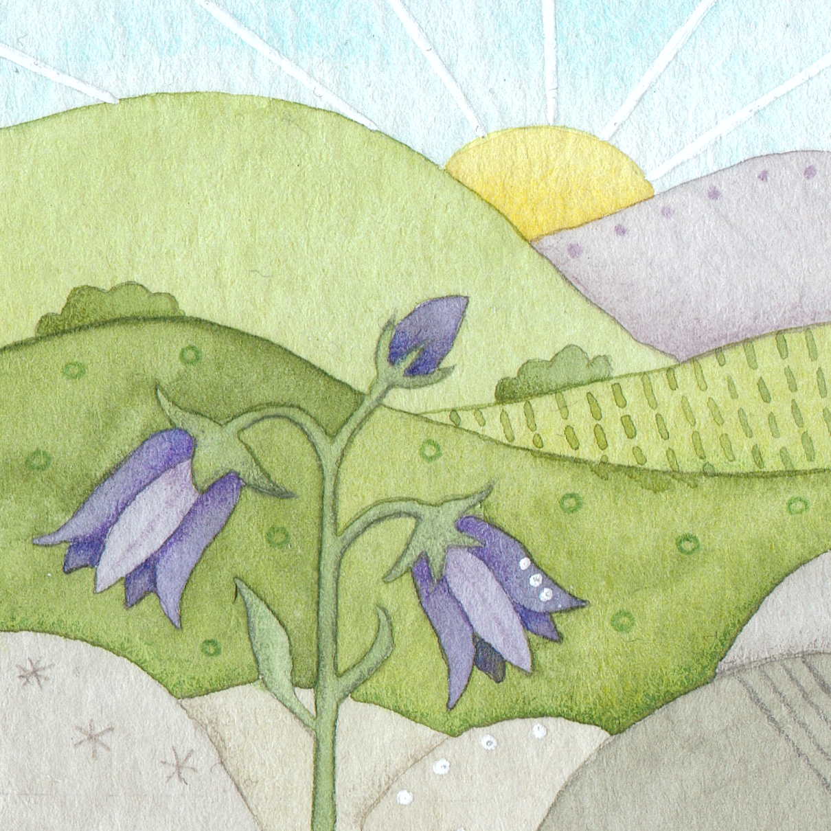 Original Watercolour Painting - Tiny Bluebell - Framed, Mounted and Signed