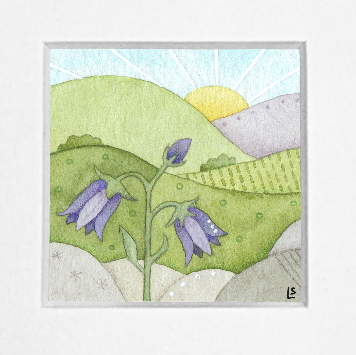 Original Watercolour Painting - Tiny Bluebell - Framed, Mounted and Signed
