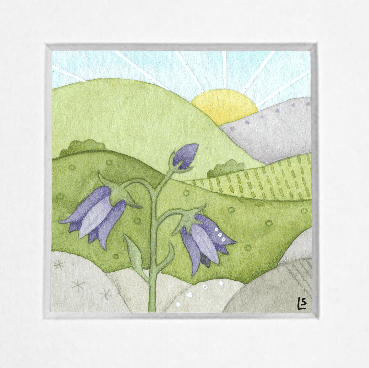 Original Watercolour Painting - Scottish Highlands - Tiny Bluebell