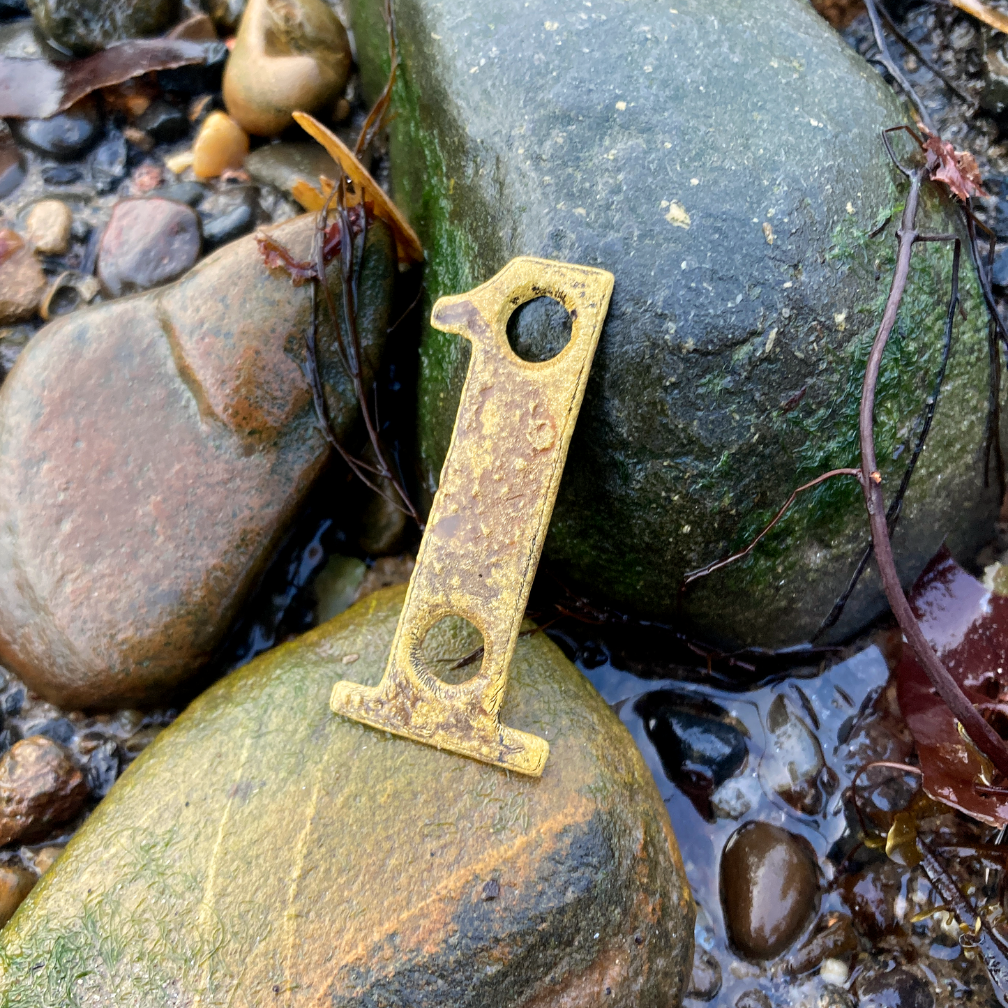 Rare Beachcombing Curiosities - Yellow - Framed Beach Art - East Neuk Beach Crafts