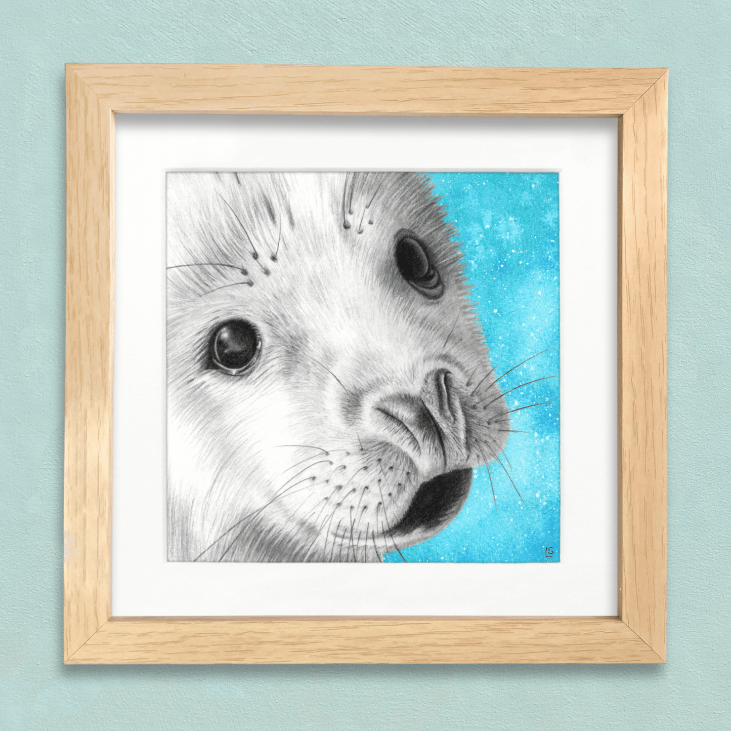Baby Seal Drawing Print - Signed Giclée Pencil Wall Art - Wildlife Portraits - East Neuk Beach Crafts