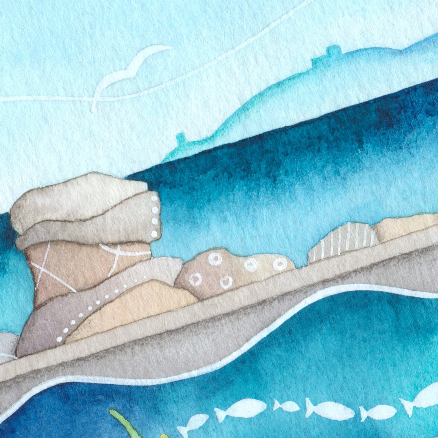 Seagull at Cellardyke Pool Print - Seaside Watercolour Painting - Limited Edition Signed Art - East Neuk Beach Crafts