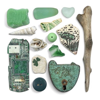 Rare Beachcombing Curiosities - Green - Framed Beach Art