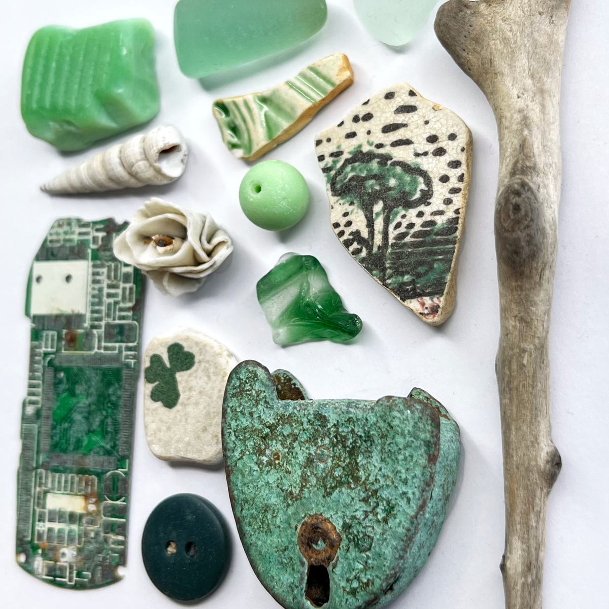 Rare Beachcombing Curiosities - Green - Framed Beach Art