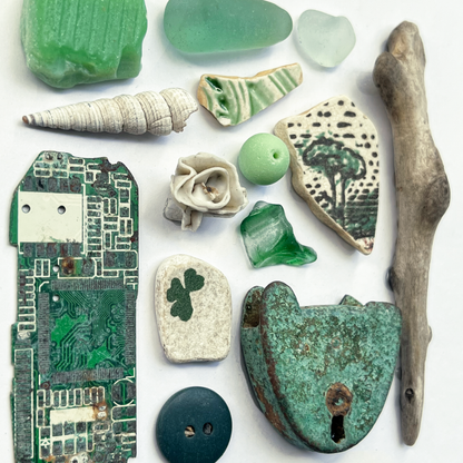 Rare Beachcombing Curiosities - Green - Framed Beach Art