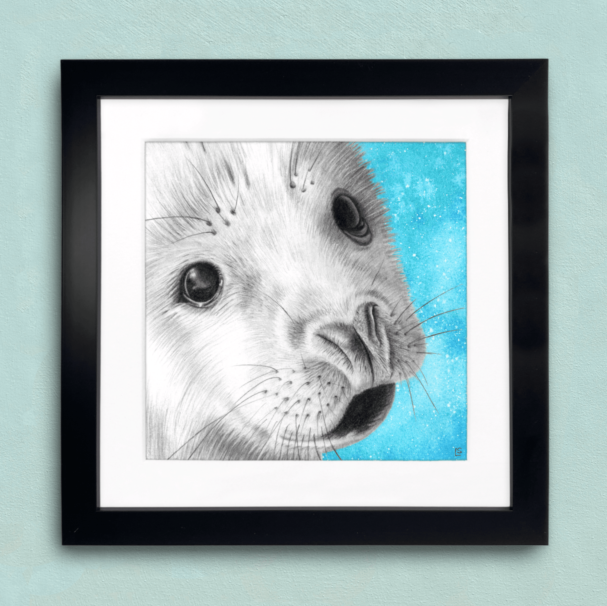 Baby Seal Framed Print - Pencil Drawing Wildlife Portrait - East Neuk Beach Crafts