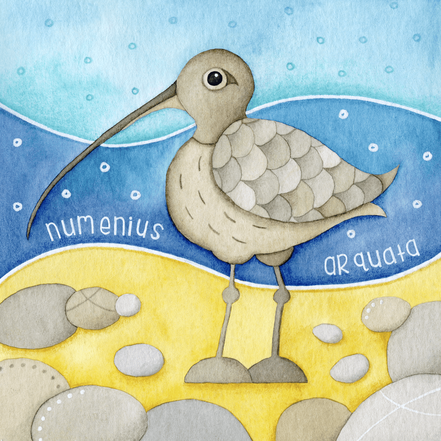 Curlew Greetings Card - Isle of May - Seaside Watercolour - East Neuk Beach Crafts