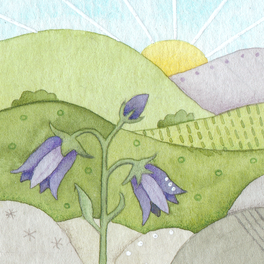Original Watercolour Painting - Tiny Bluebell - Framed, Mounted and Signed
