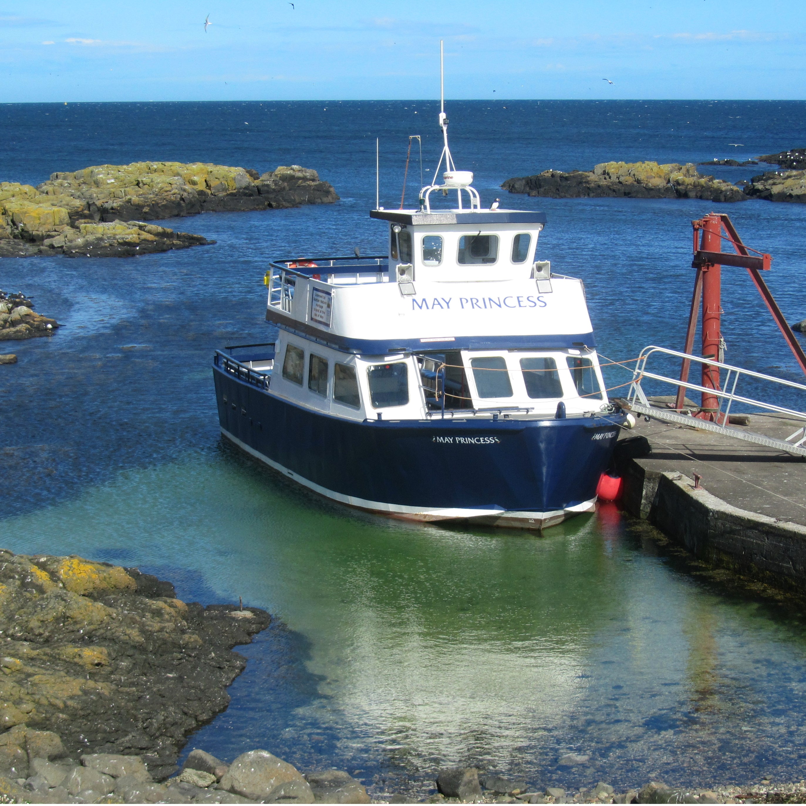 Anstruther Pleasure Cruises to the Isle of May