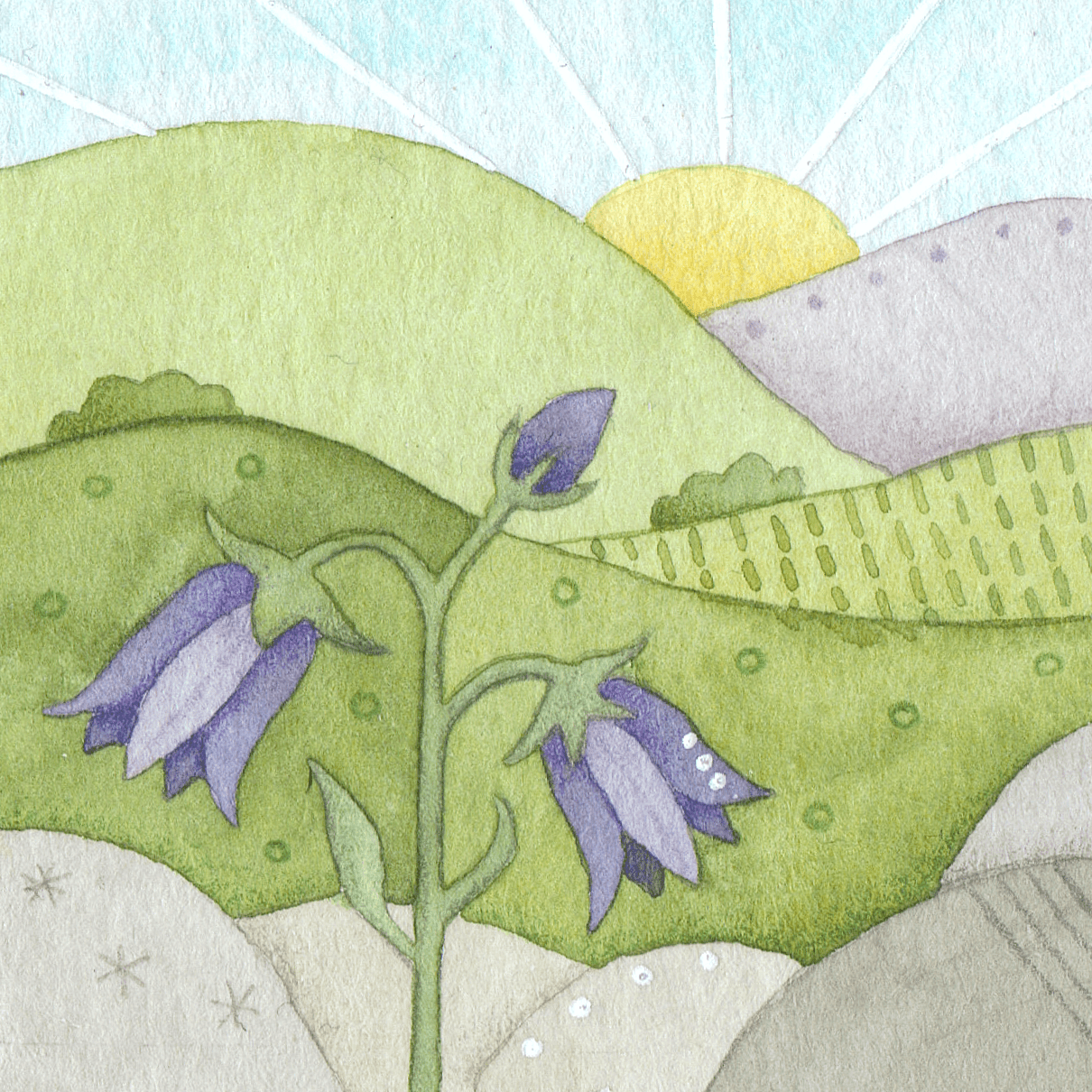 Original Watercolour Painting - Scottish Highlands - Tiny Bluebell