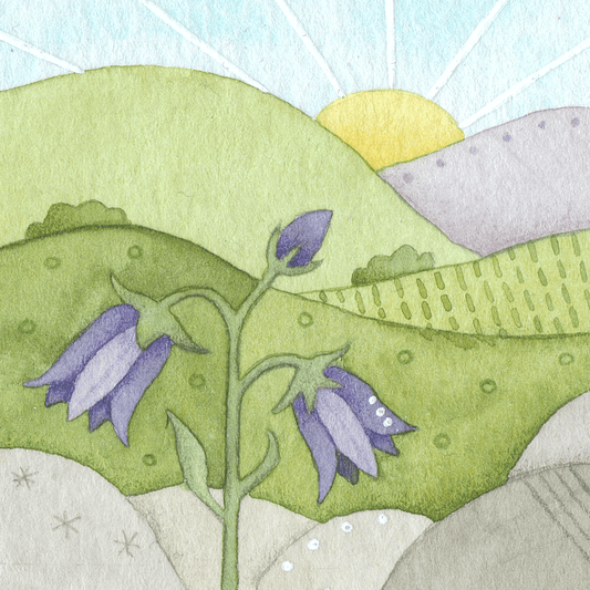 Original Watercolour Painting - Scottish Highlands - Tiny Bluebell