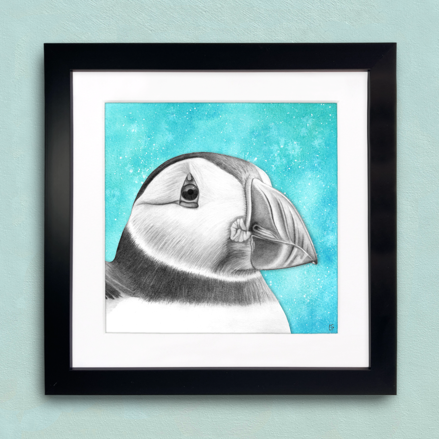 Framed Puffin Print - Pencil Drawing Wall Art - Seabird Wildlife Portraits