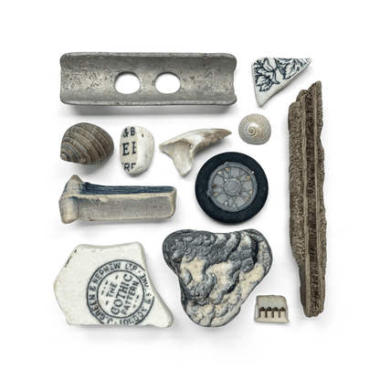 Rare Beachcombing Curiosities - Black - Framed Beach Art - East Neuk Beach Crafts