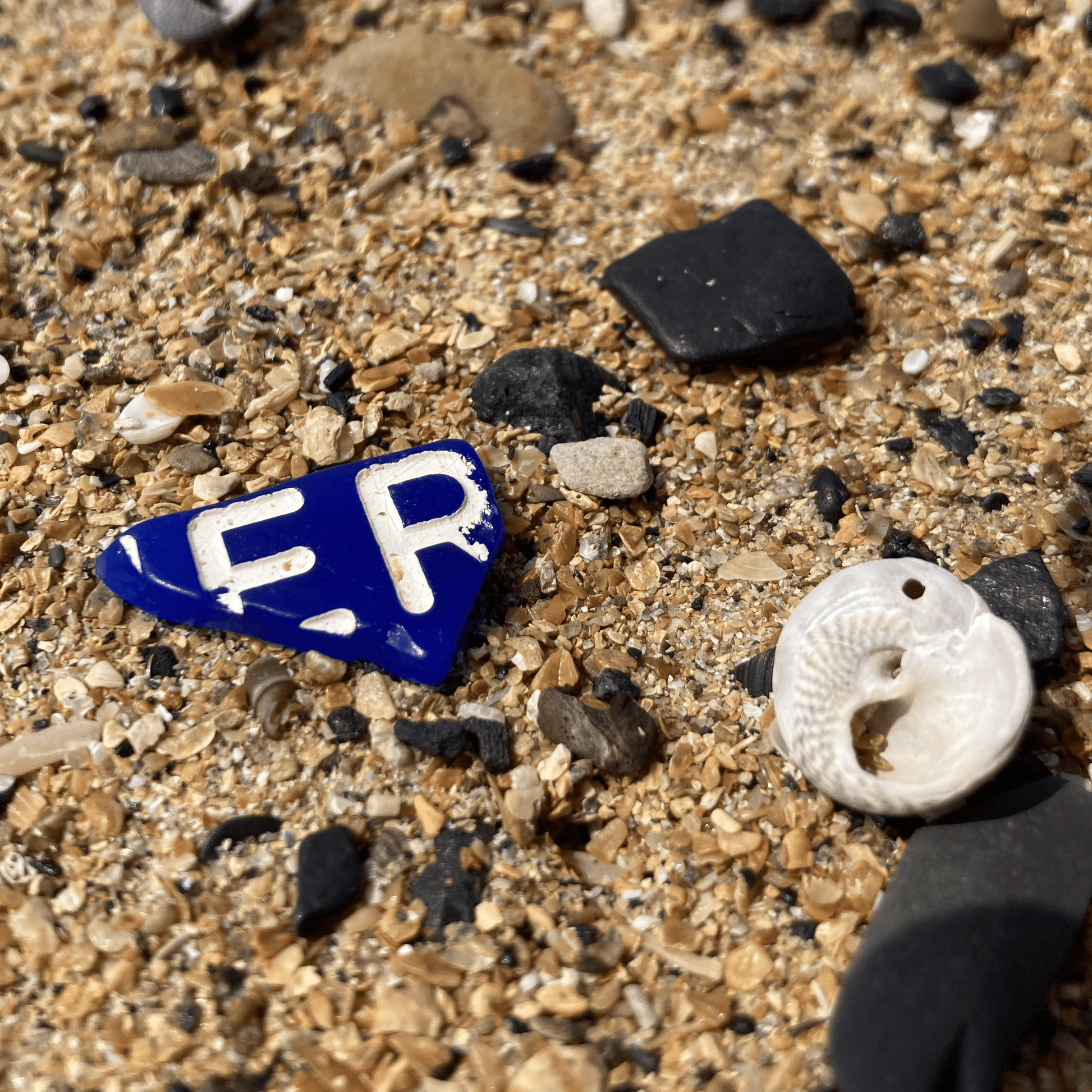 Rare Beachcombing Curiosities - Blue - Framed Beach Art - East Neuk Beach Crafts