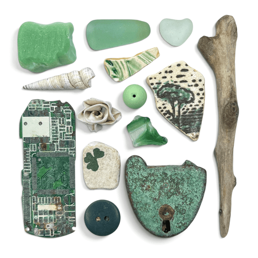 Rare Beachcombing Curiosities - Green - Framed Beach Art - East Neuk Beach Crafts