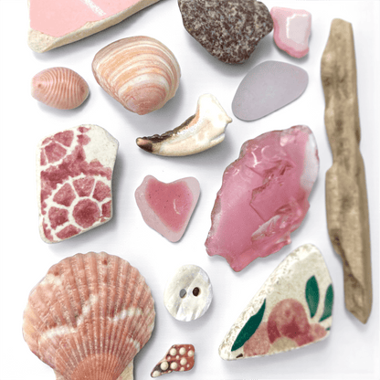 Rare Beachcombing Curiosities - Pink - Framed Beach Art - East Neuk Beach Crafts