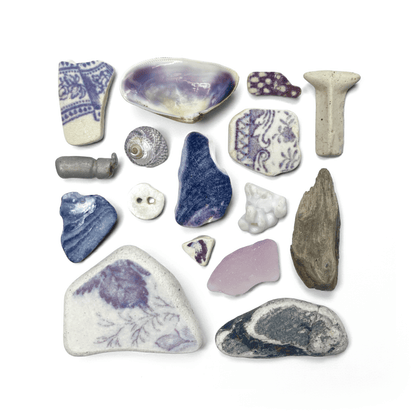 Rare Beachcombing Curiosities - Purple - Framed Beach Art - East Neuk Beach Crafts