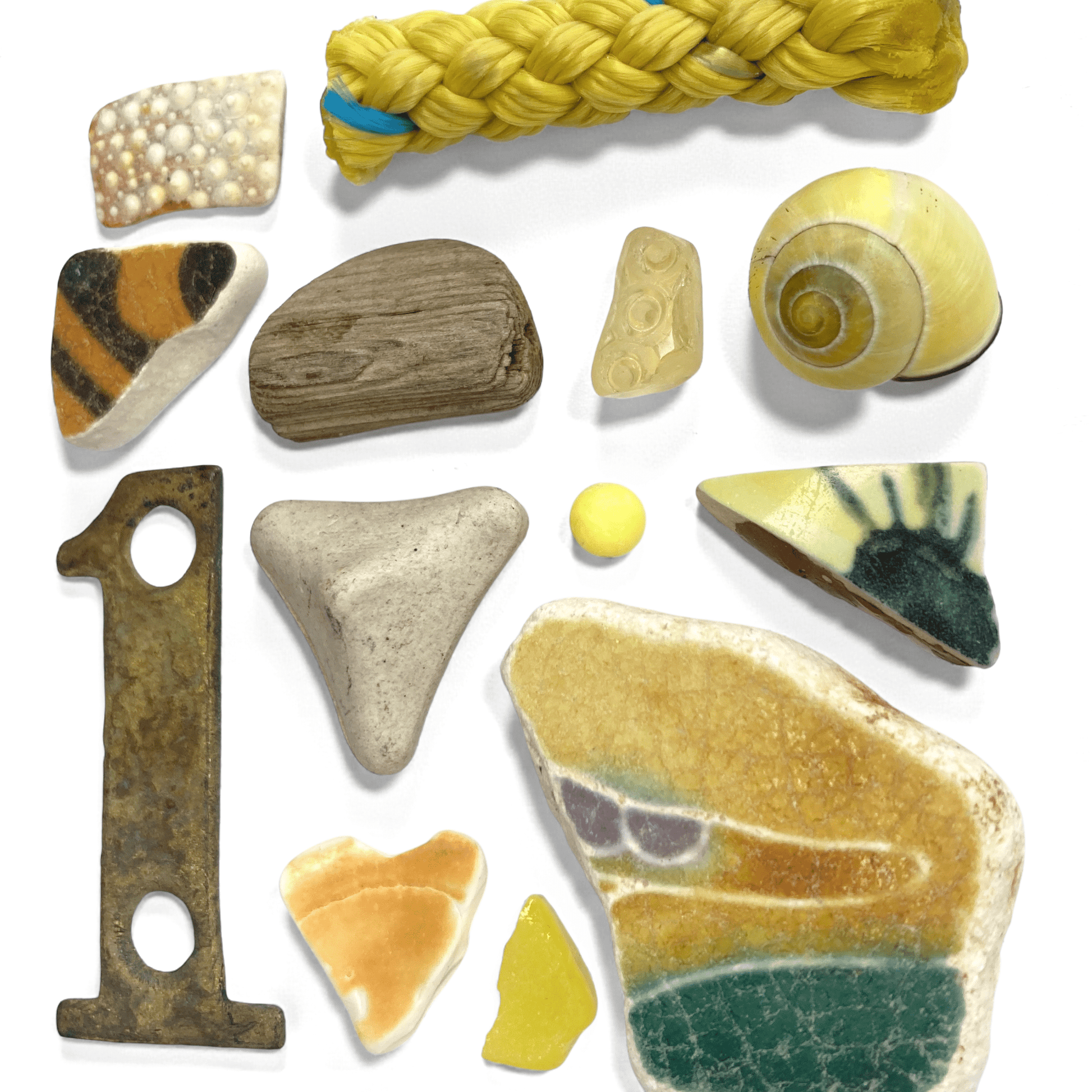Rare Beachcombing Curiosities - Yellow - Framed Beach Art - East Neuk Beach Crafts