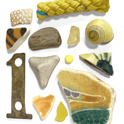 Rare Beachcombing Curiosities - Yellow - Framed Beach Art - East Neuk Beach Crafts