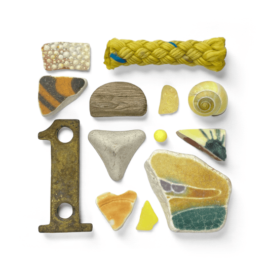 Rare Beachcombing Curiosities - Yellow - Framed Beach Art - East Neuk Beach Crafts