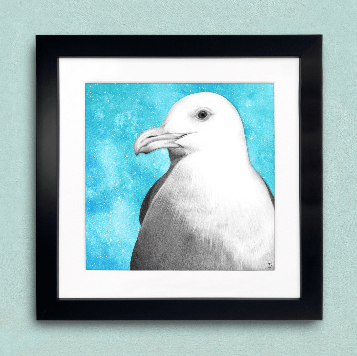 Seagull Framed Print - Pencil Drawing Wildlife Portrait - East Neuk Beach Crafts