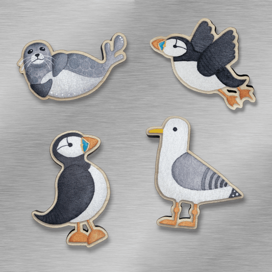 Wooden Fridge Magnet Set x4 - Seagull, Puffins and Seal - Save £4 - East Neuk Beach Crafts