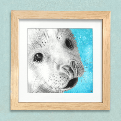 Baby Seal Drawing Print - Signed Giclée Pencil Wall Art - Wildlife Portraits - East Neuk Beach Crafts