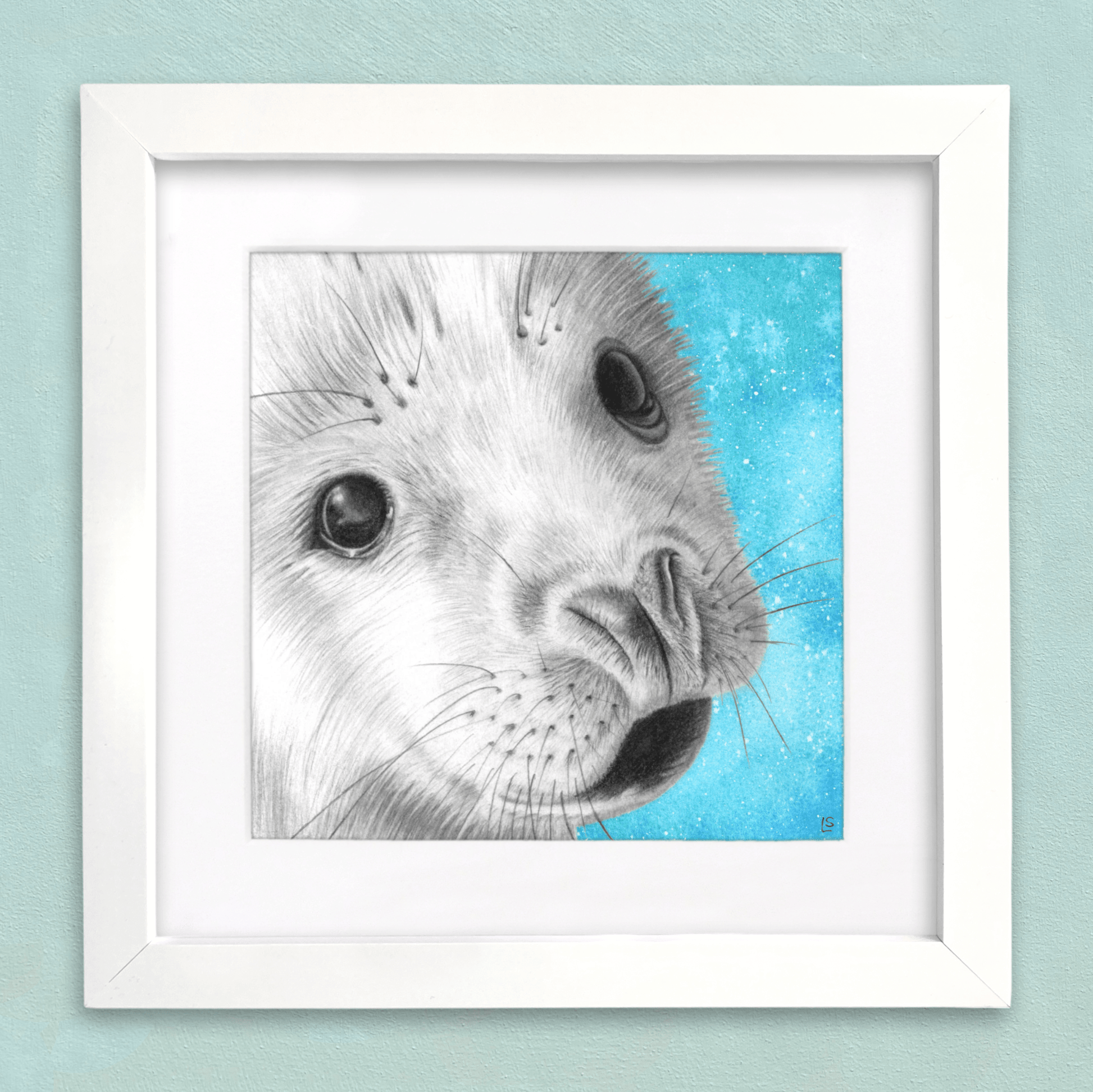 Baby Seal Drawing Print - Signed Giclée Pencil Wall Art - Wildlife Portraits - East Neuk Beach Crafts