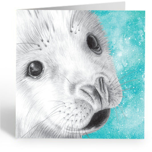 Greetings Card - Baby Seal Wildlife Portrait - Pencil Drawing - Seaside Art - East Neuk Beach Crafts
