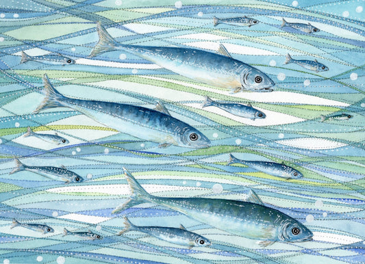 Greetings Card - Fish Watercolour Painting - Nautical Seaside Art - East Neuk Beach Crafts