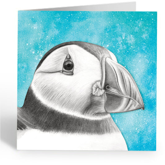 Greetings Card - Puffin Wildlife Portrait - Pencil Drawing - Seaside Art - East Neuk Beach Crafts