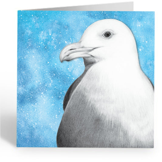 Greetings Card - Seagull Wildlife Portrait - Pencil Drawing - Seaside Art - East Neuk Beach Crafts