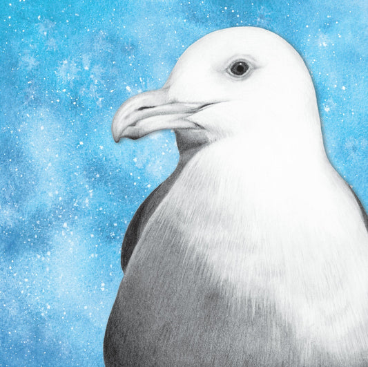 Greetings Card - Seagull Wildlife Portrait - Pencil Drawing - Seaside Art - East Neuk Beach Crafts