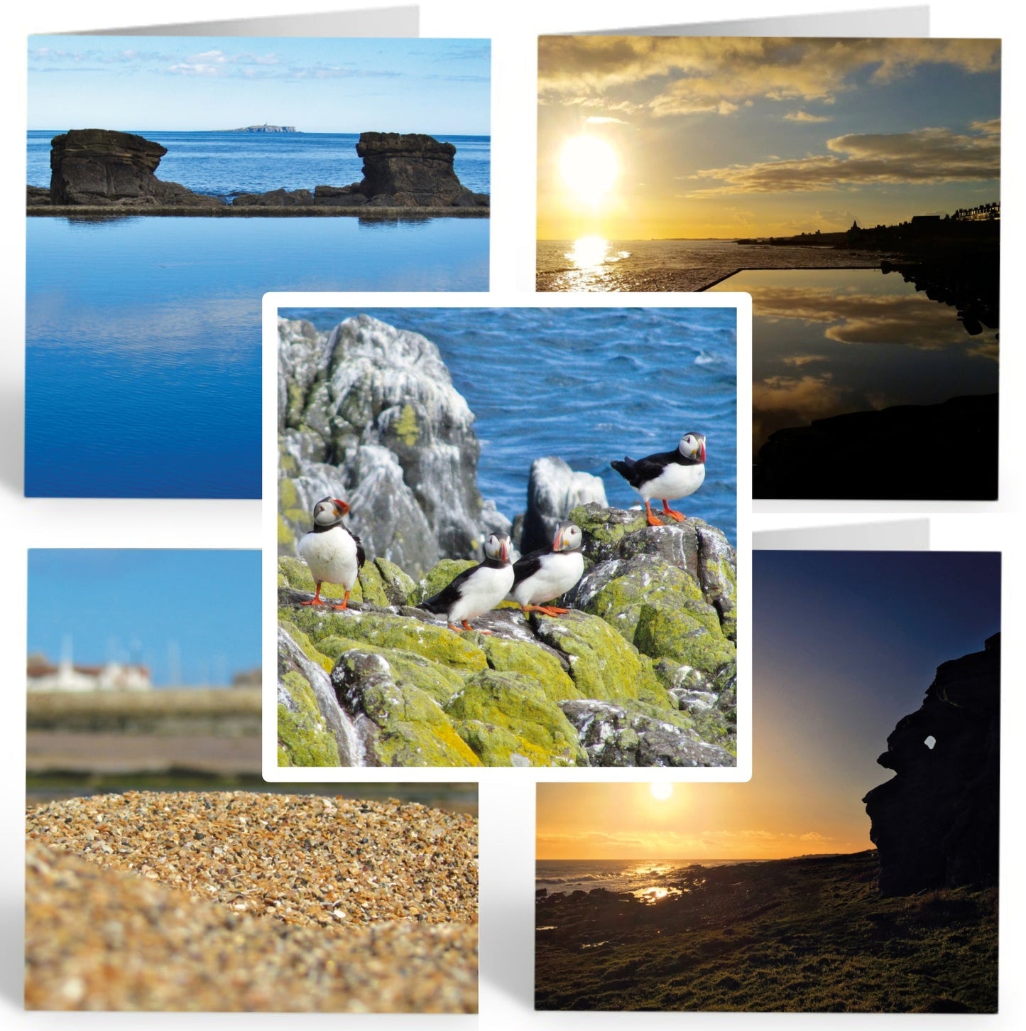 Greetings Cards (Pack of 5) "East Neuk of Fife Photos" - Puffins, Anstruther, St Monans, Cellardyke - East Neuk Beach Crafts