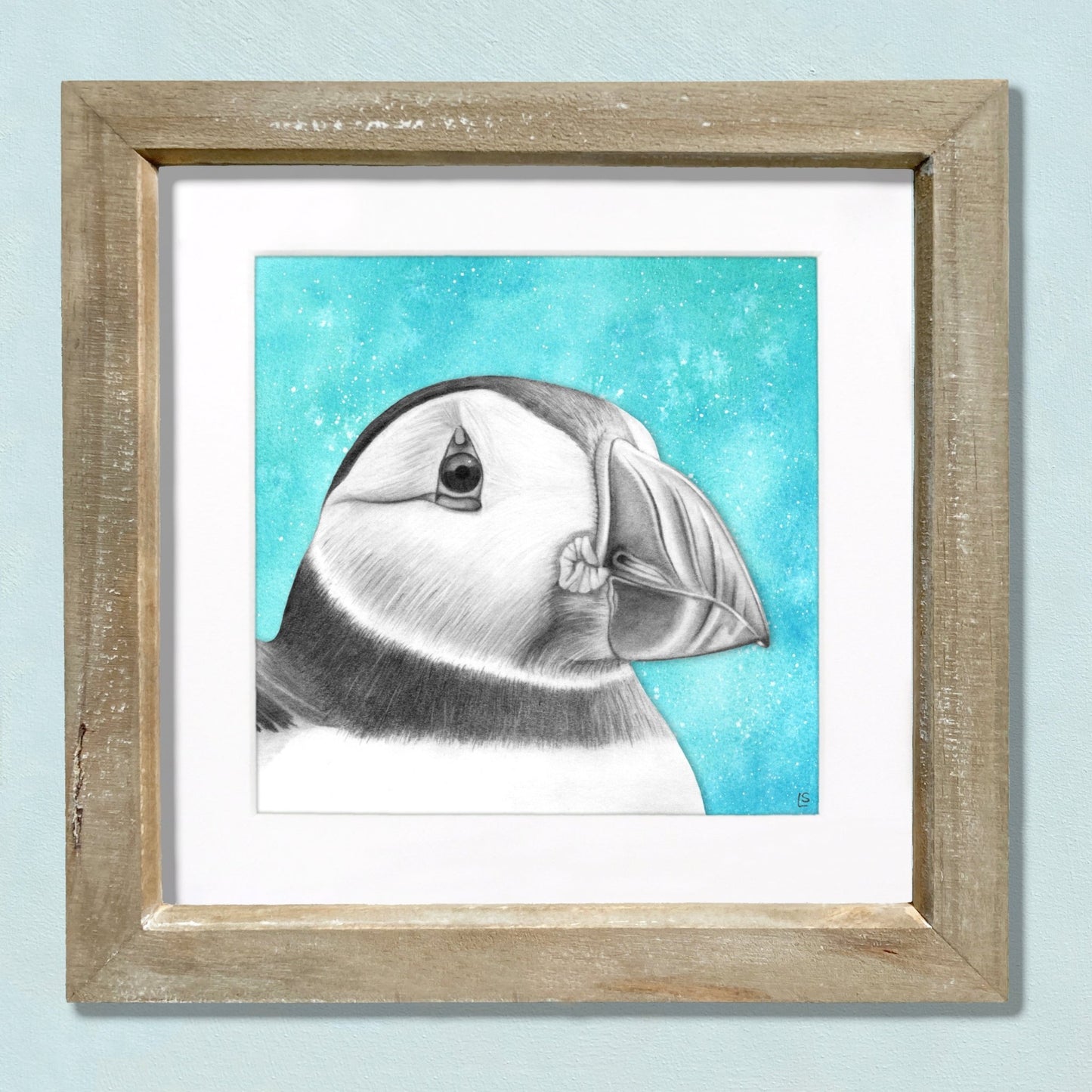 Puffin Drawing Print - Signed Giclée Pencil Wall Art - Wildlife Portraits - East Neuk Beach Crafts