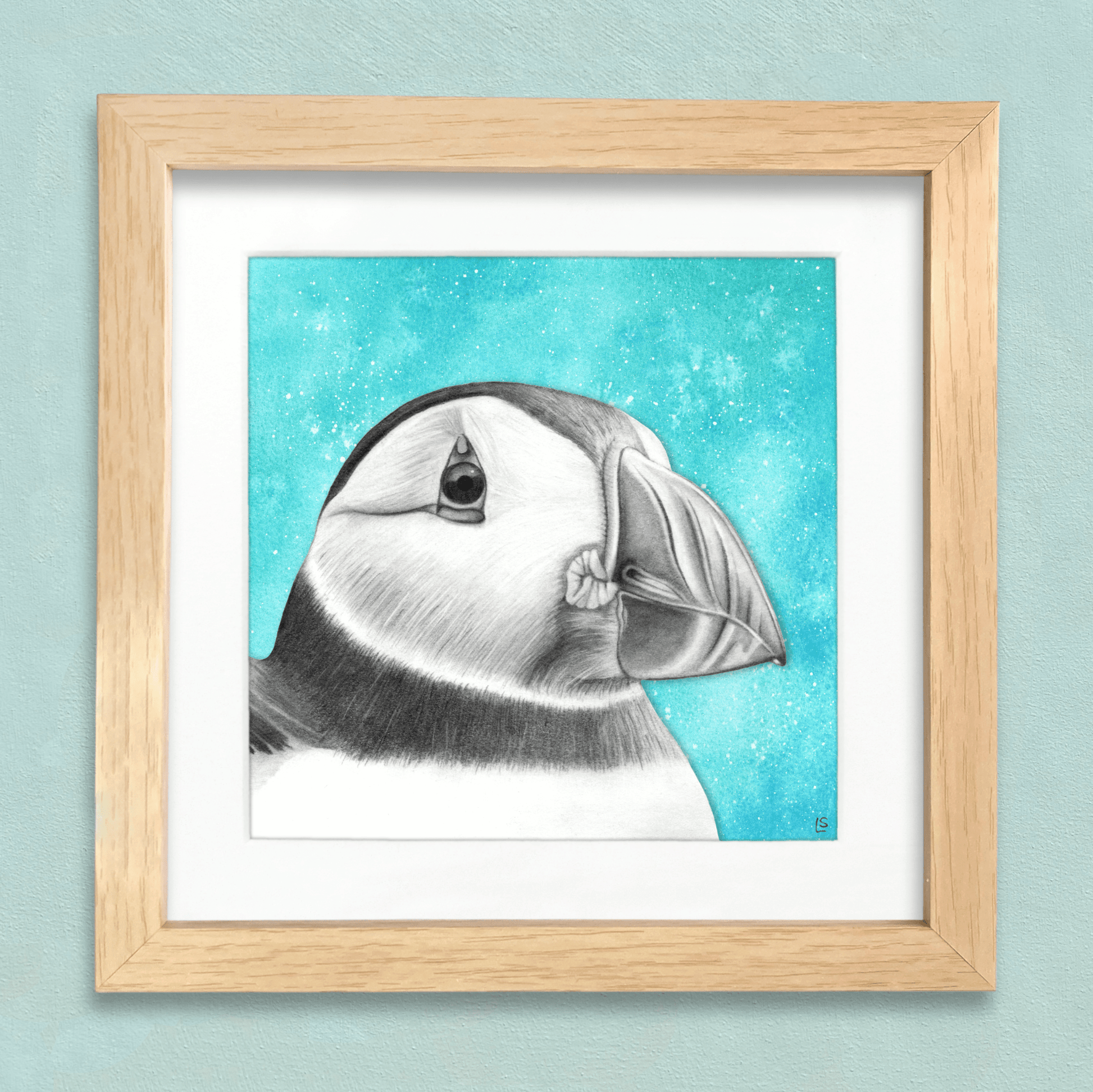 Puffin Drawing Print - Signed Giclée Pencil Wall Art - Wildlife Portraits - East Neuk Beach Crafts