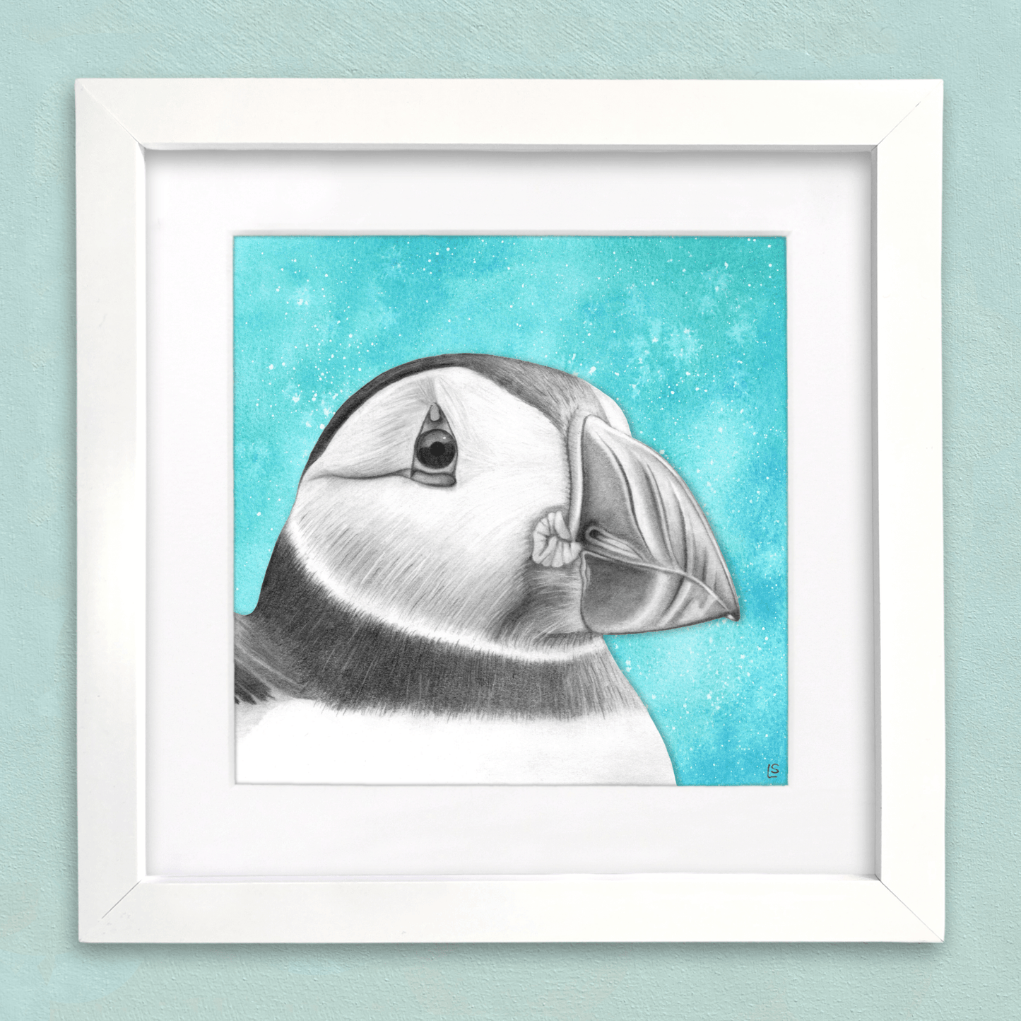 Puffin Drawing Print - Signed Giclée Pencil Wall Art - Wildlife Portraits - East Neuk Beach Crafts