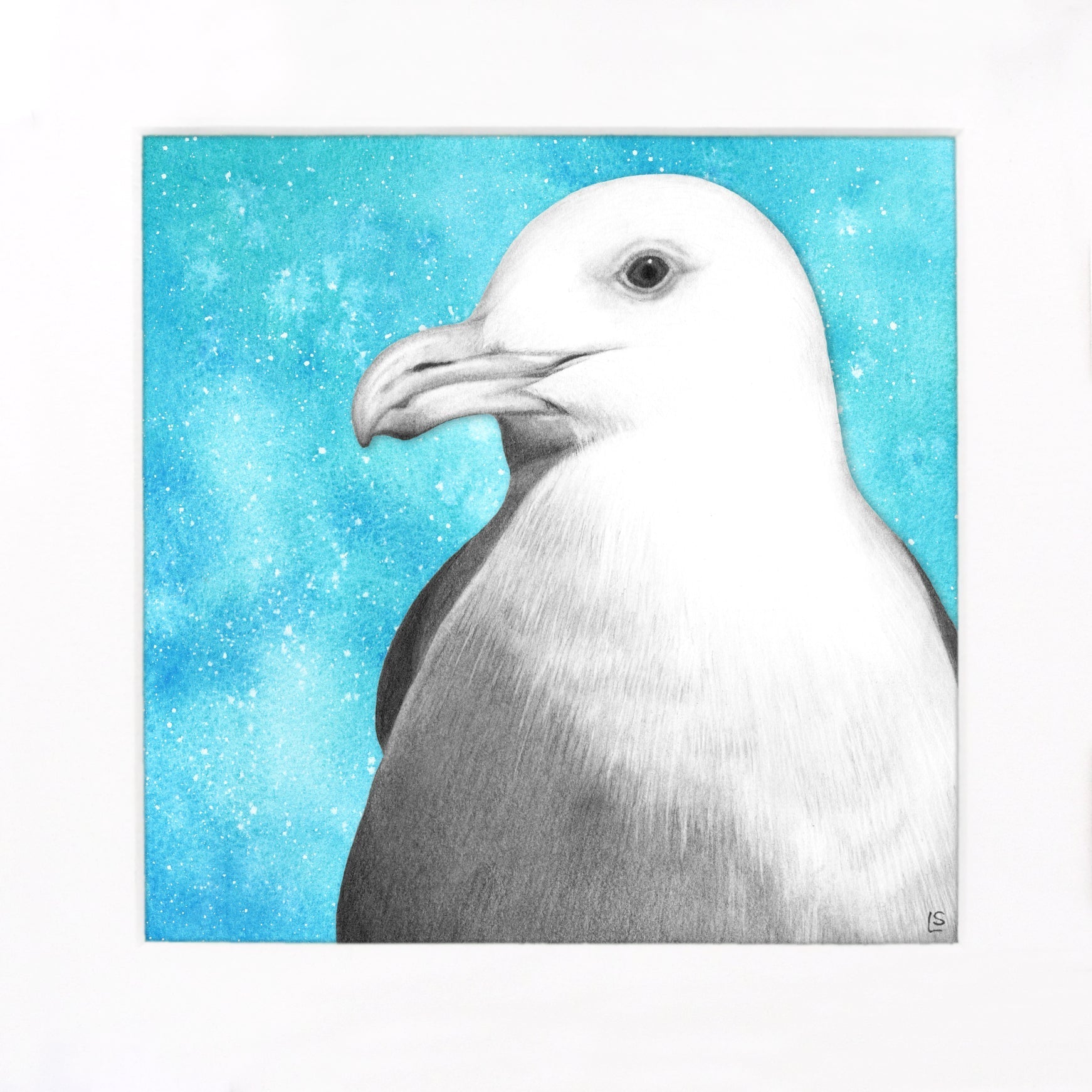Seagull Drawing Print - Signed Giclée Pencil Wall Art - Wildlife Portraits - East Neuk Beach Crafts